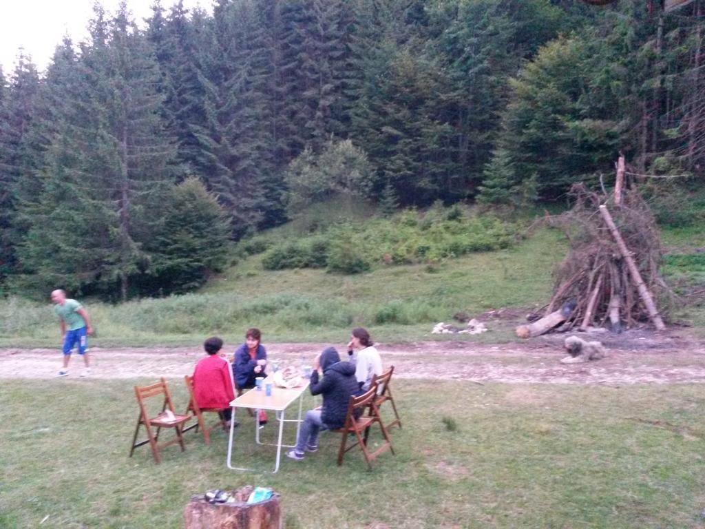 Cabana Pietricica Дымбовичоара Экстерьер фото