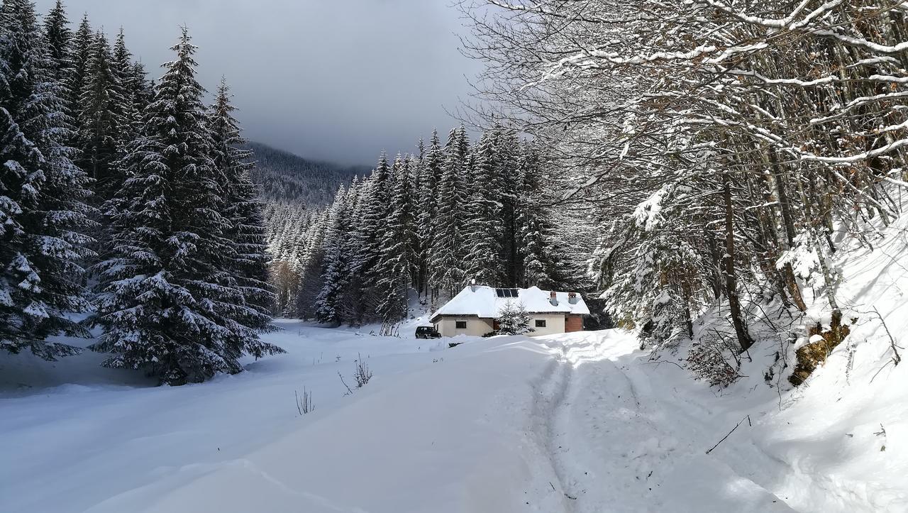Cabana Pietricica Дымбовичоара Экстерьер фото