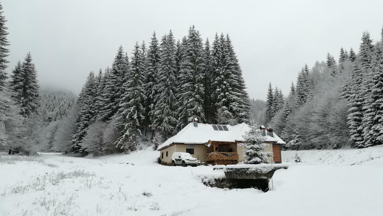 Cabana Pietricica Дымбовичоара Экстерьер фото