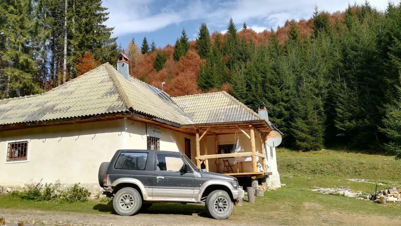 Cabana Pietricica Дымбовичоара Экстерьер фото