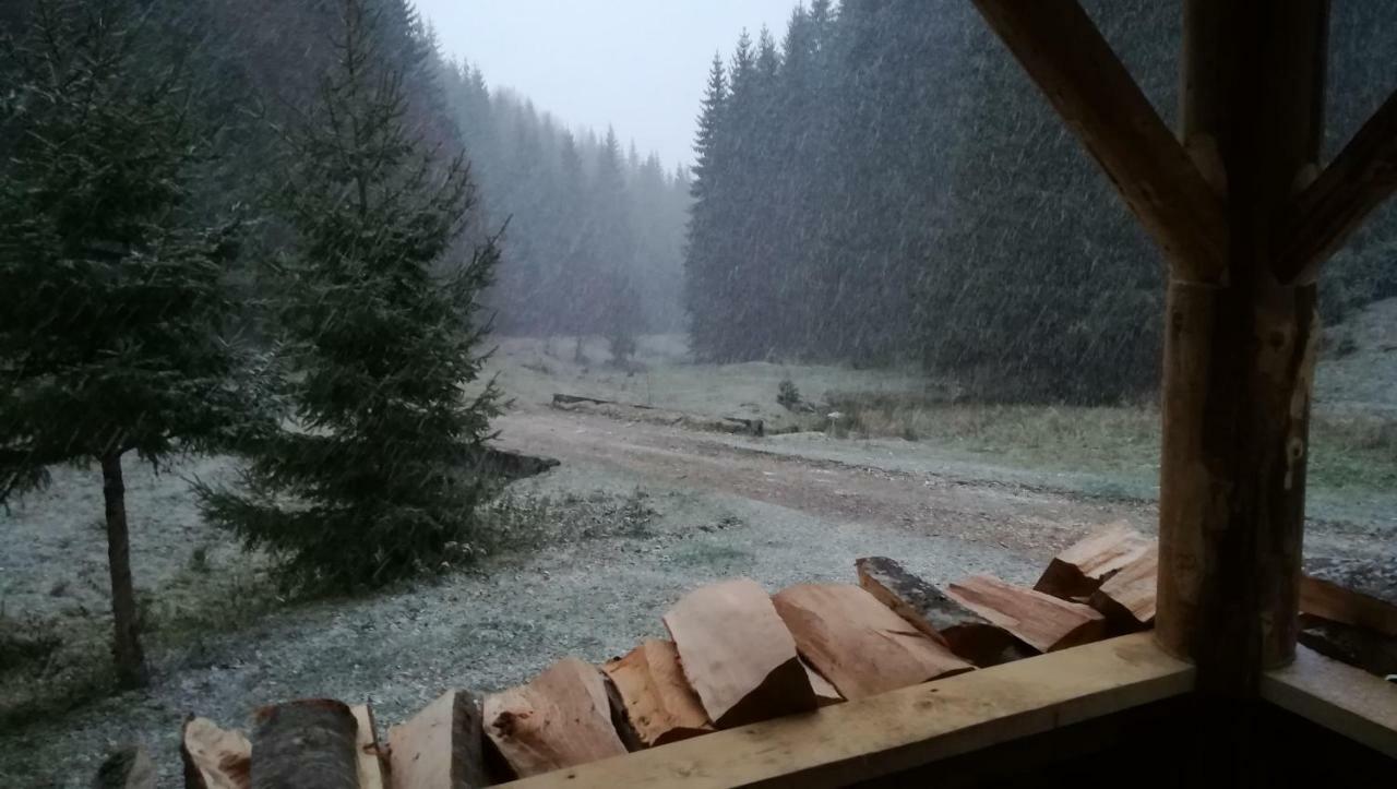 Cabana Pietricica Дымбовичоара Экстерьер фото
