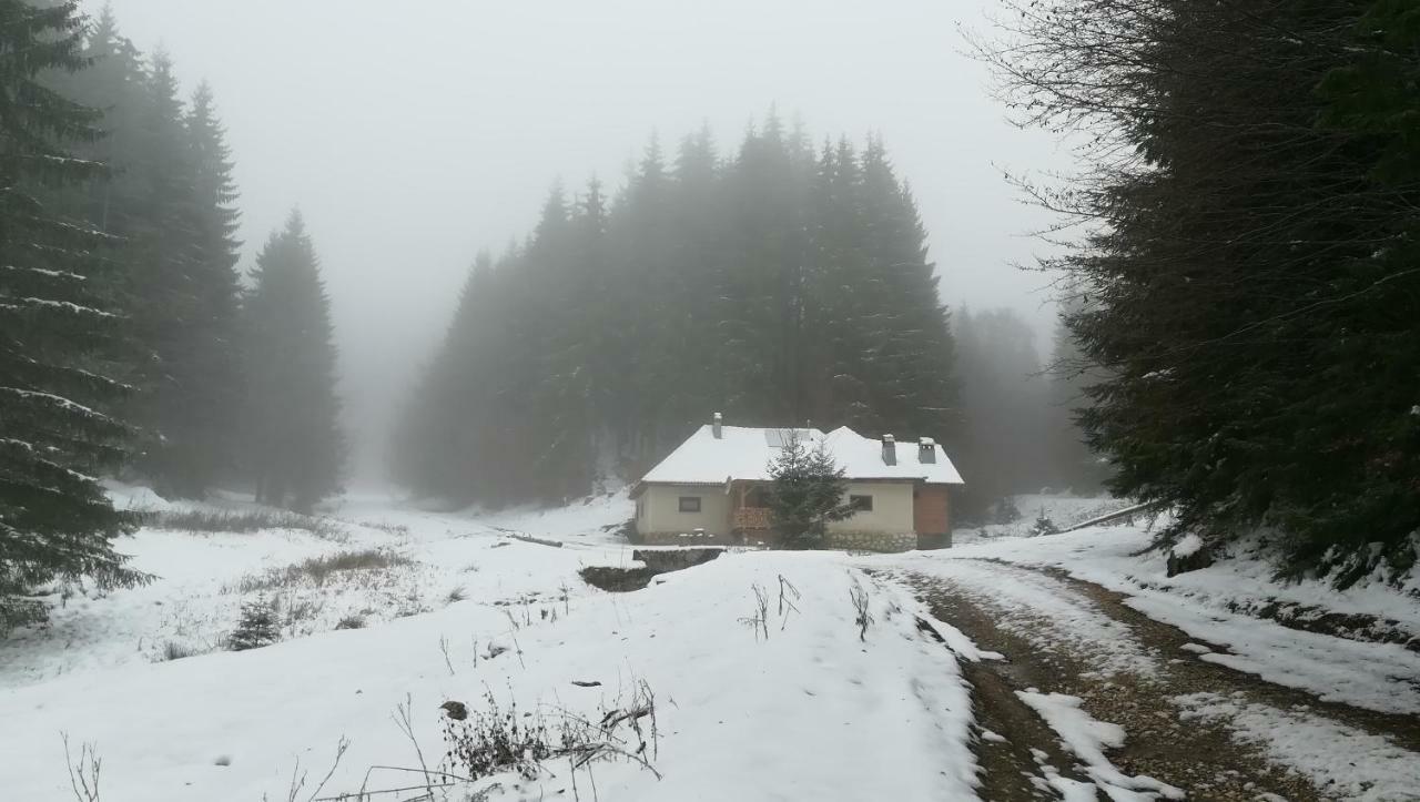 Cabana Pietricica Дымбовичоара Экстерьер фото