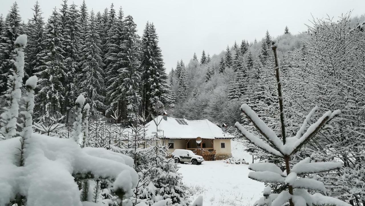 Cabana Pietricica Дымбовичоара Экстерьер фото