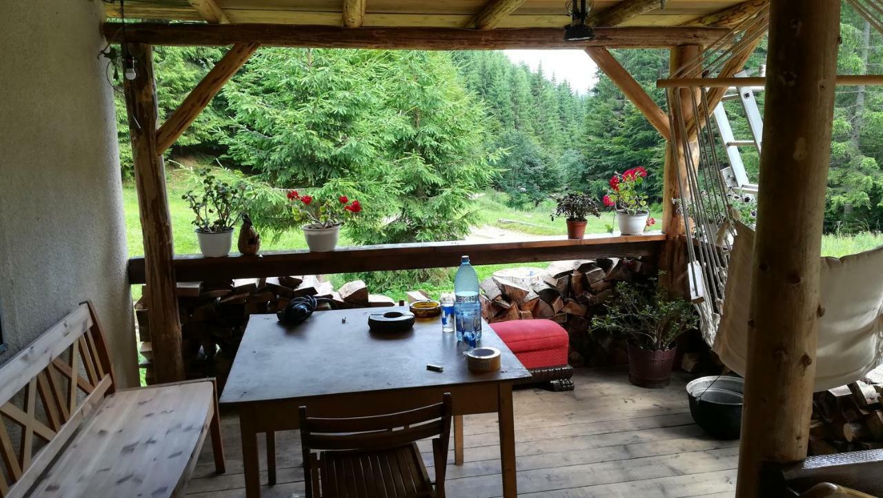 Cabana Pietricica Дымбовичоара Экстерьер фото