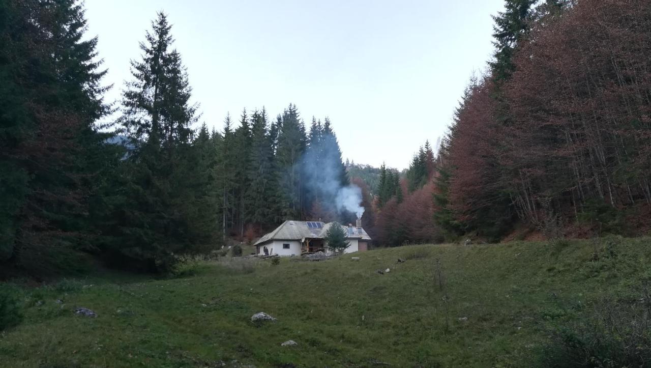 Cabana Pietricica Дымбовичоара Экстерьер фото